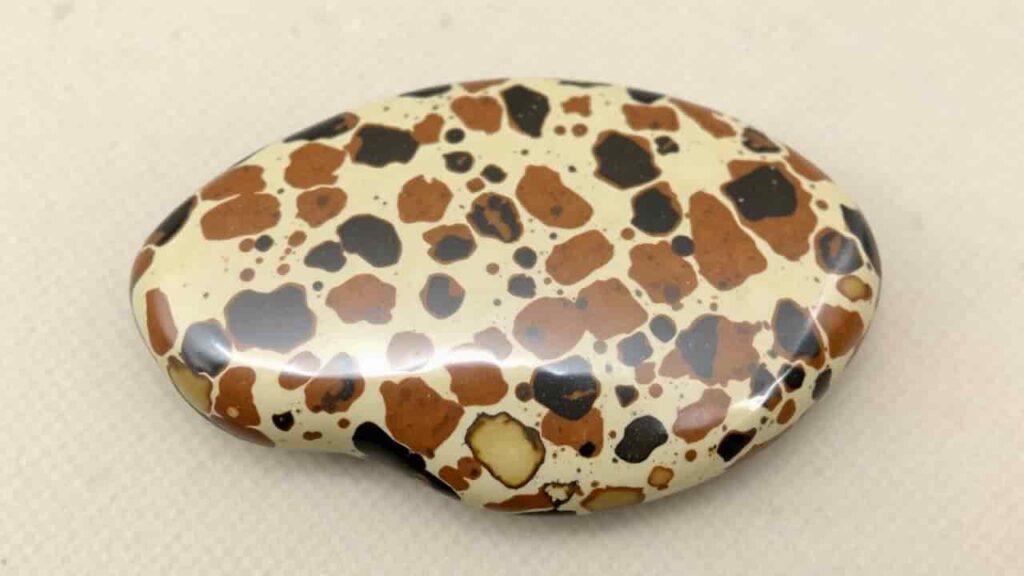Leopard Skin Jasper